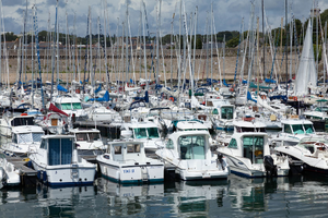 Traitement punaises de lit Concarneau
